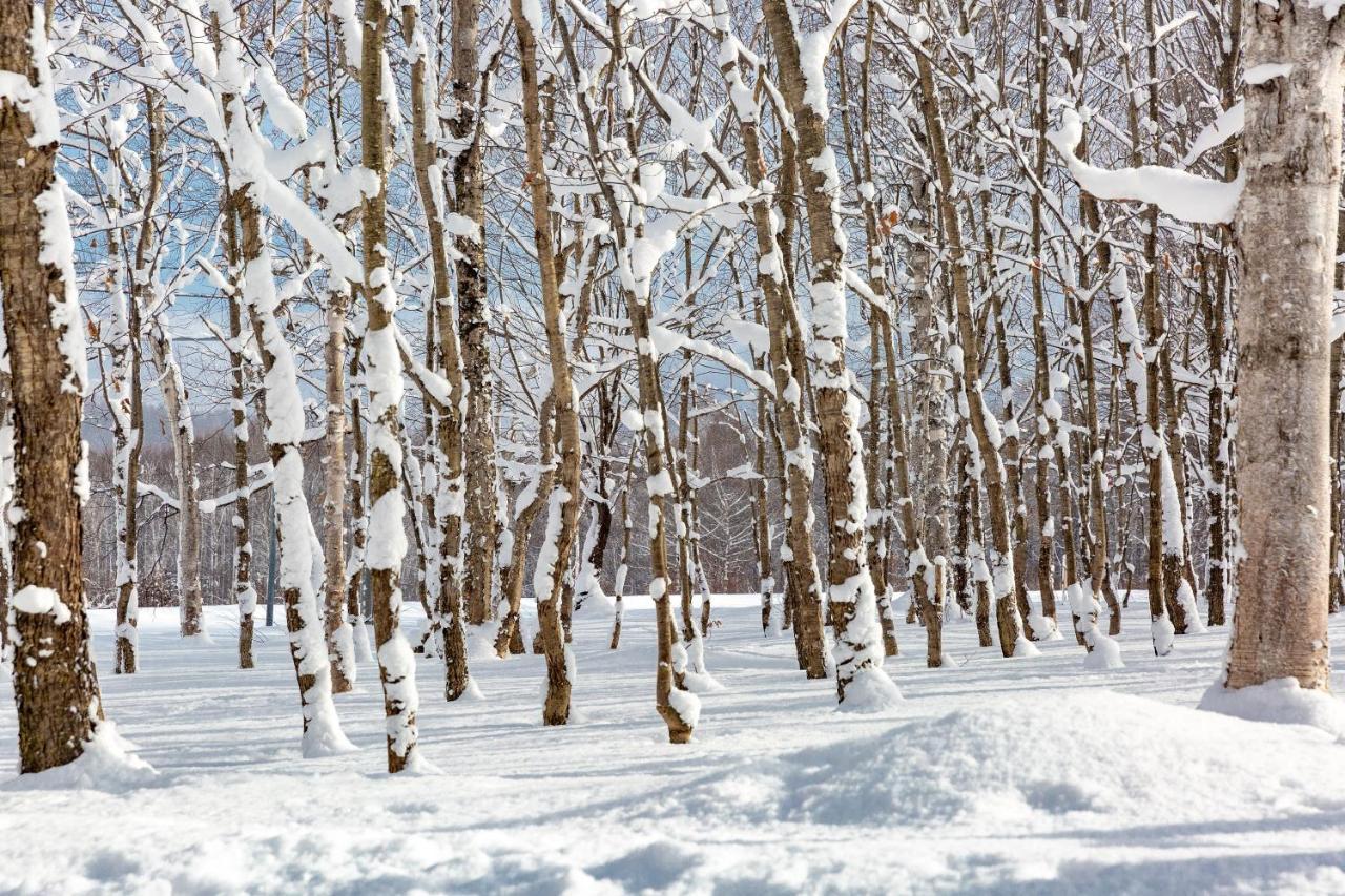 Andaru Collection Niseko Hotell Kutchan Eksteriør bilde